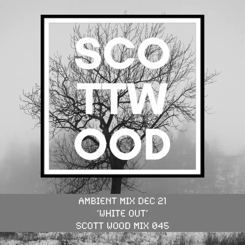 Ambient Mix Dec 21 ”White Out” - Scott Wood Mix 045