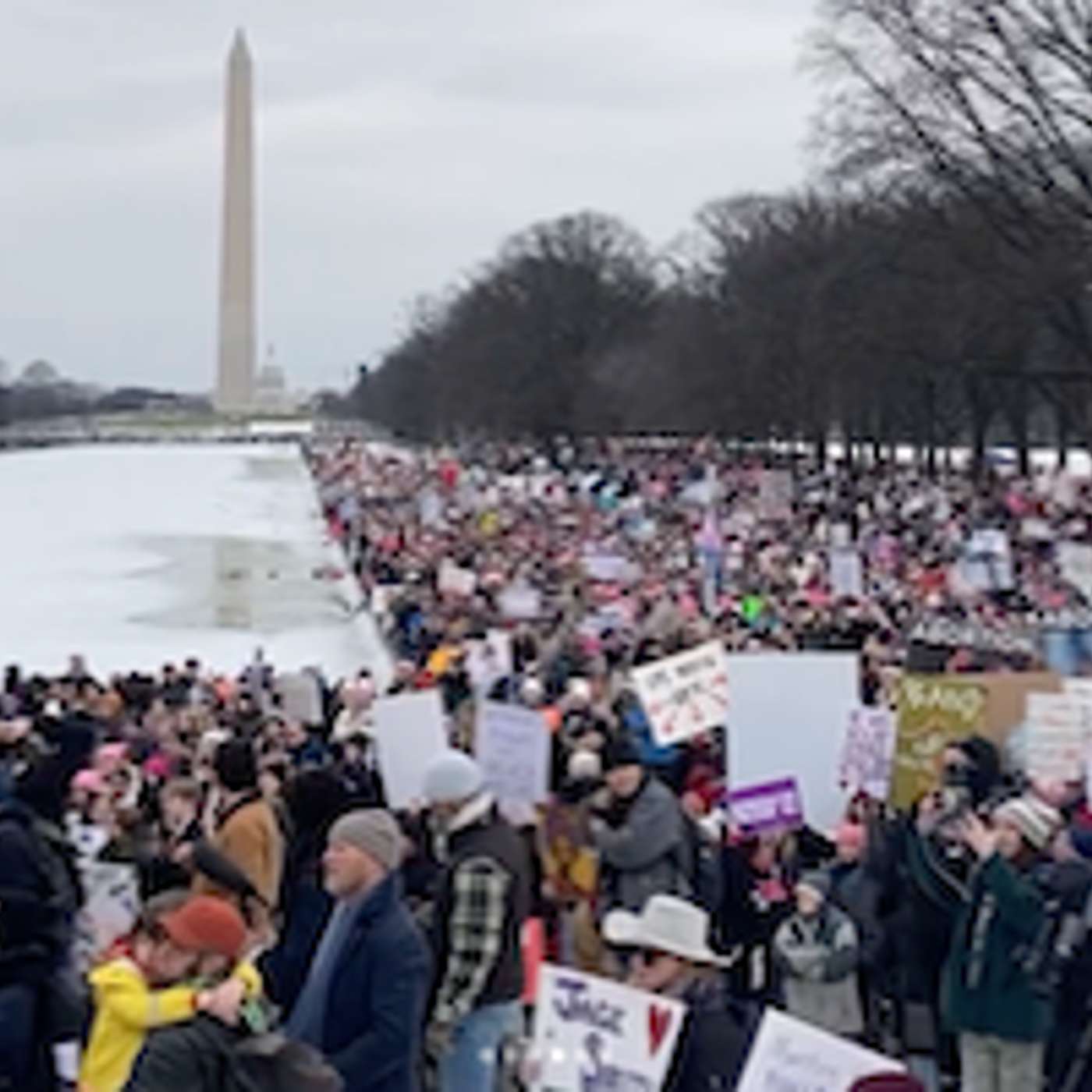 Speeches and Interviews from the Anti-Trump People’s March in Washington, D.C.
