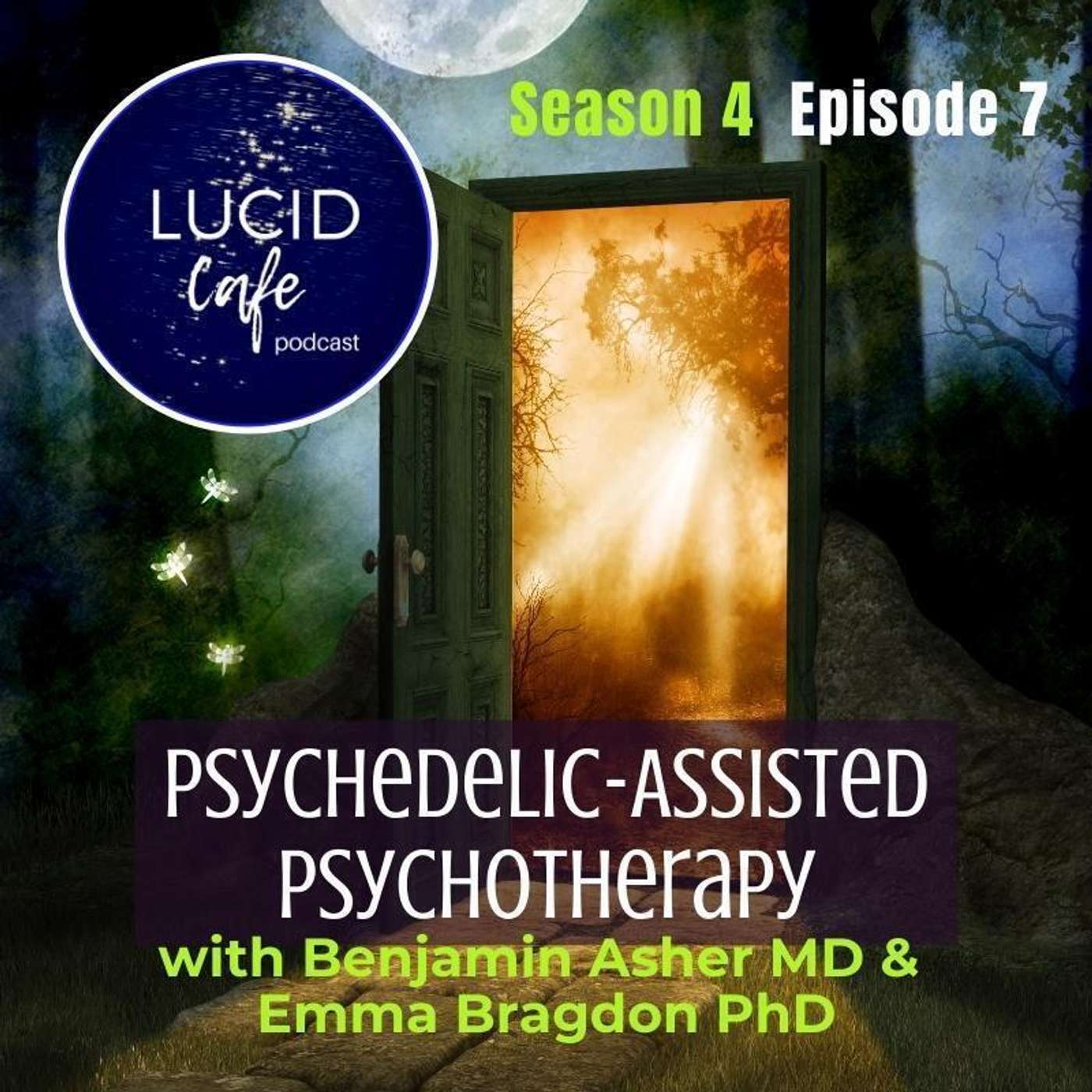 Psychedelic-Assisted Psychotherapy with Emma Bragdon PhD & Benjamin Asher MD episode artwork
