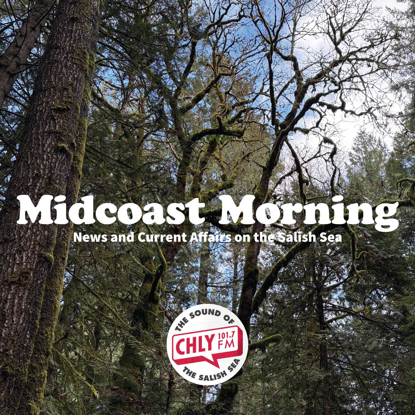 At 91, Grace Richard shares memories of decades at Wildwood Ecoforest episode artwork