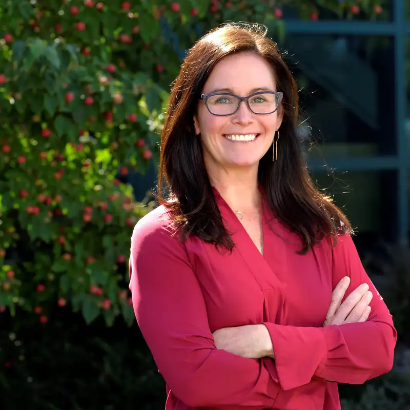 Meet the Dean: Kimberly Dodd leads MSU’s College of Veterinary Medicine