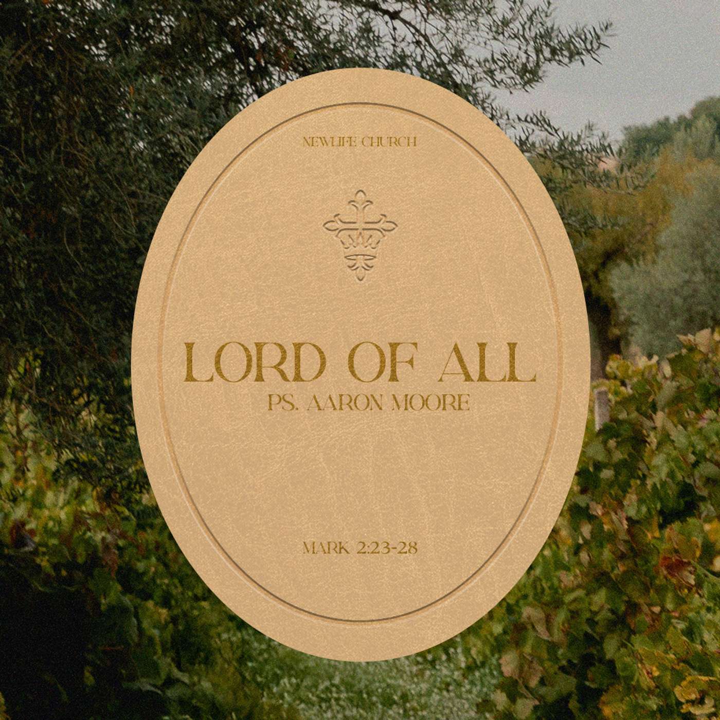 Mark: Lord of All (2:23-28) episode artwork