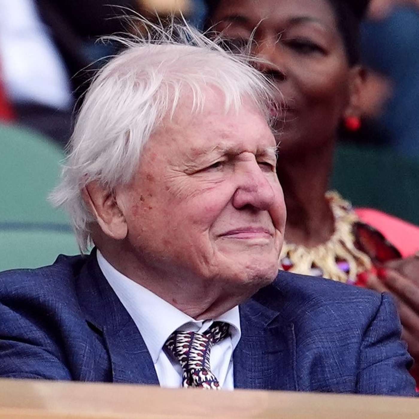 Nvidia Projects 81% Revenue Boost, Attenborough Condemns AI Voice Clones, AI Progress Hits Performance Plateau, BlackRock Expands in Abu Dhabi, and more...