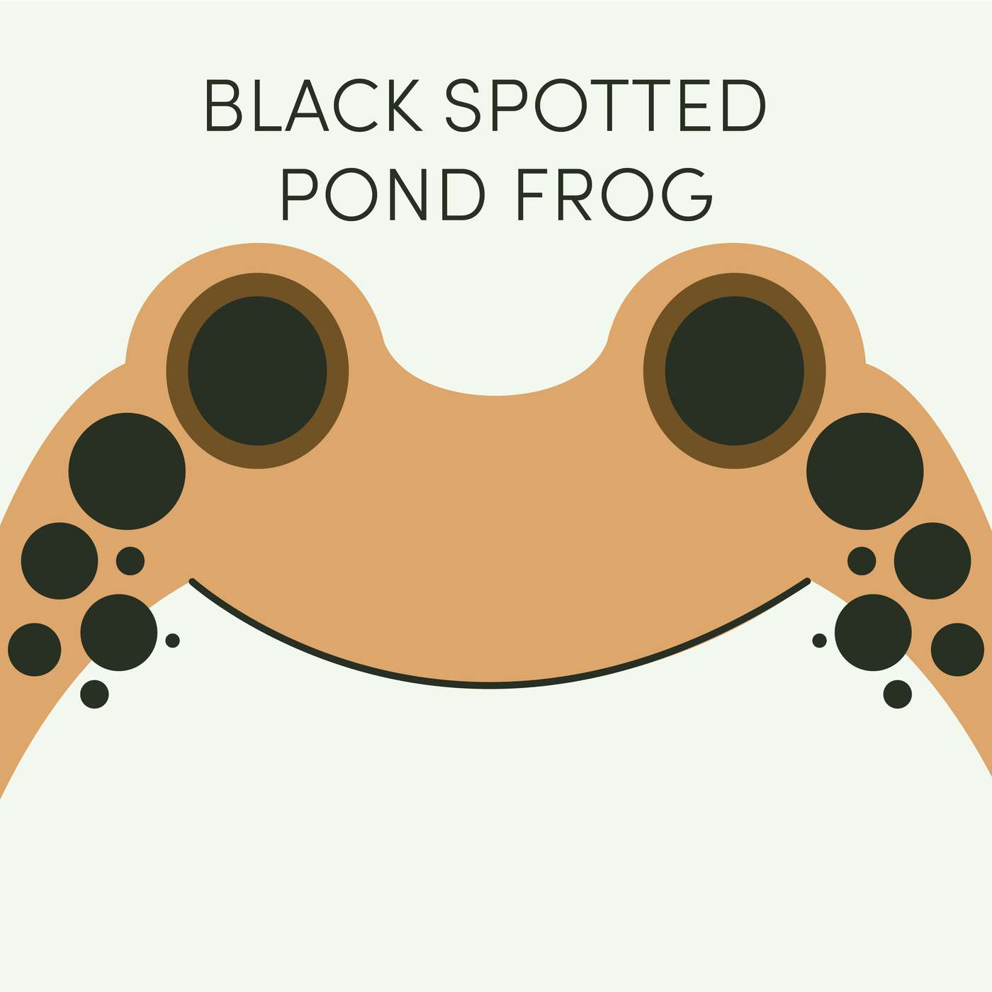Black Spotted Pond Frog | Week of August 10th