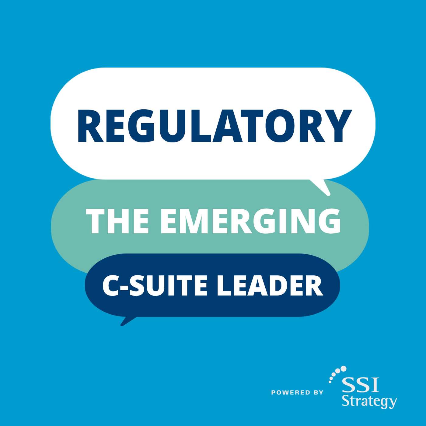 Regulatory: The Emerging C-Suite Leader cover art