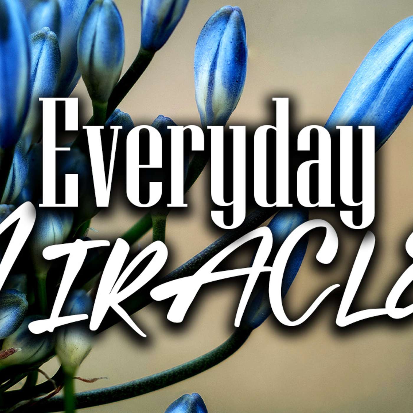 Everyday Miracles - Todd Blanton episode artwork