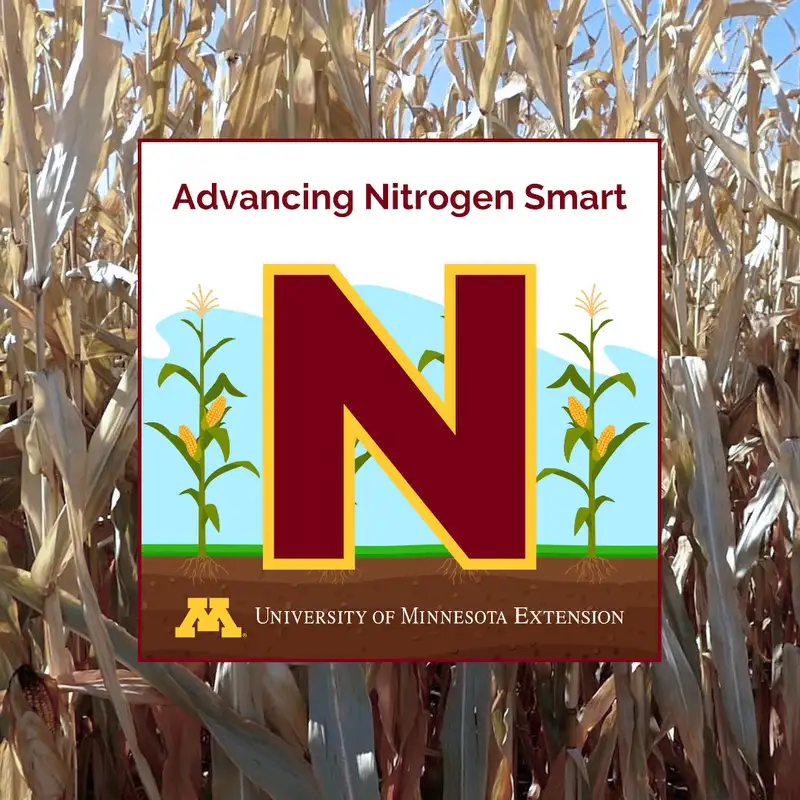 Your optimal N rate: Understanding its impact on yield, water quality, and the bottom line