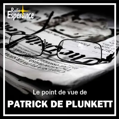 Le point de vue de Patrice de Plunkett