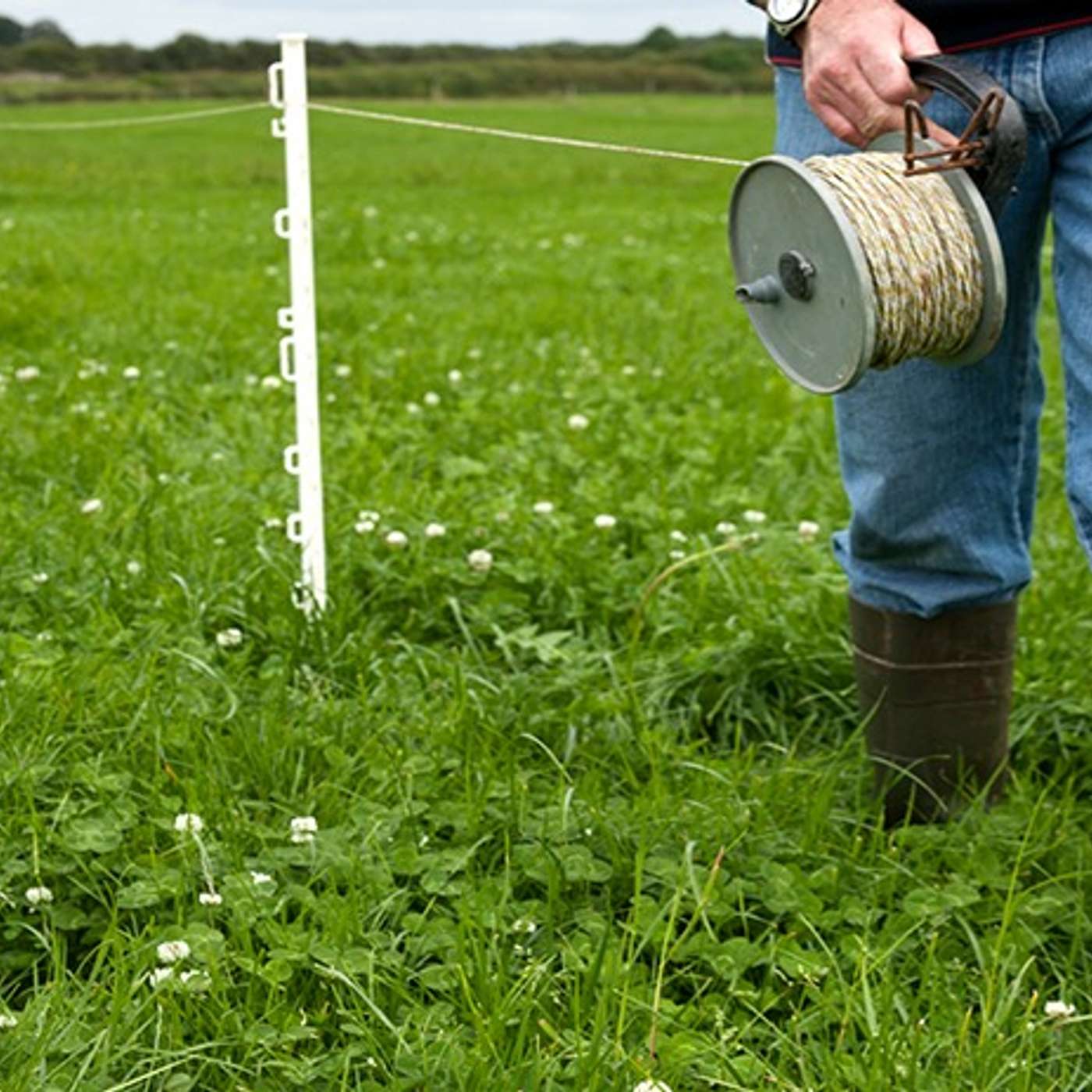 How to best manage your grassland in February