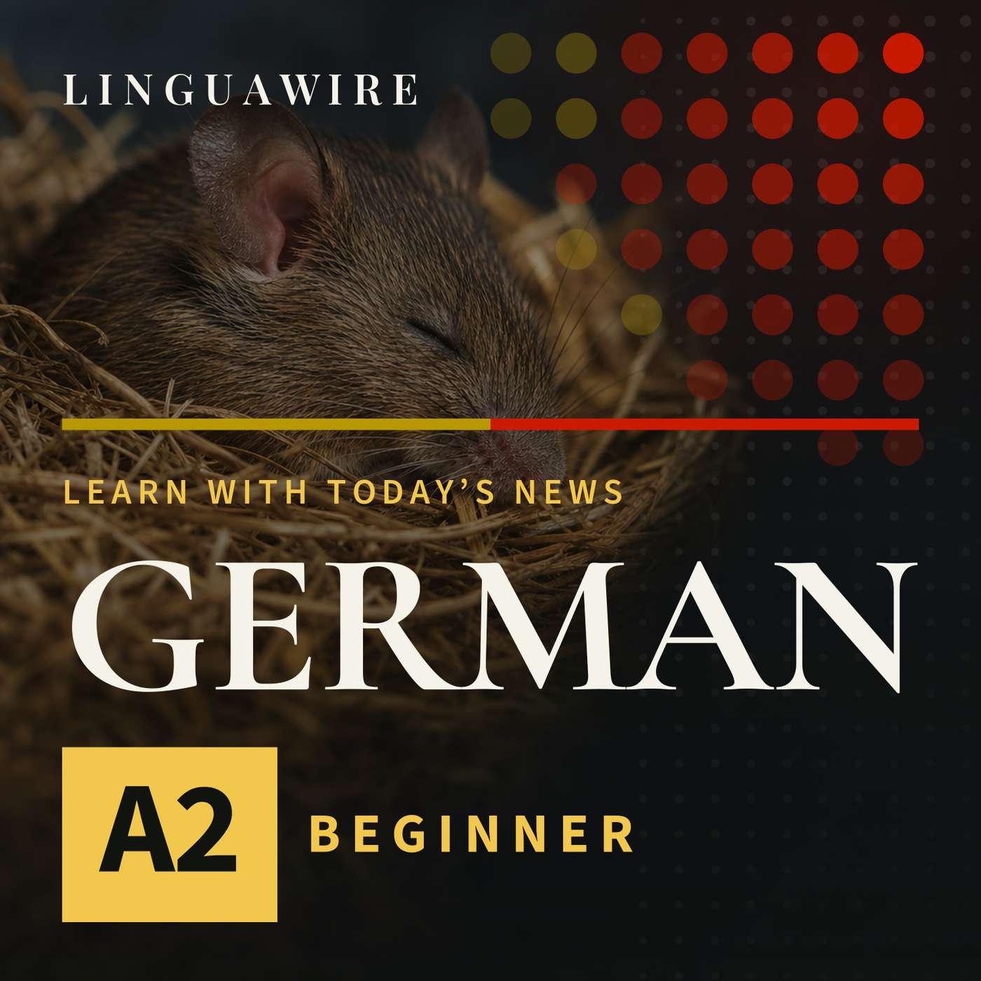 A2 German News | Mice Lose Synapses but Keep Their Memories