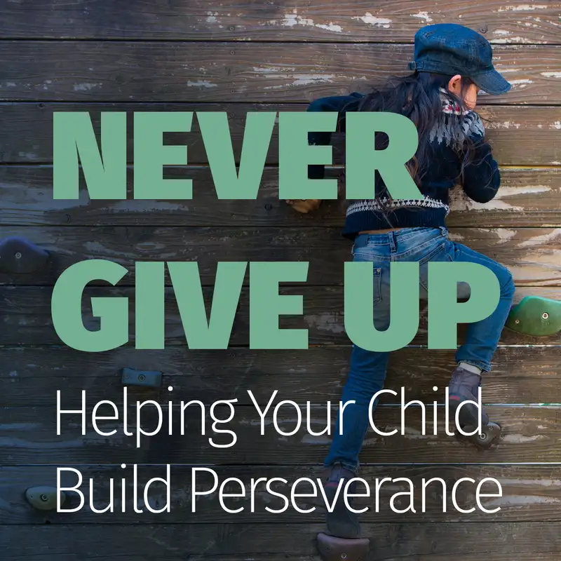 Episode 83: Never Give Up