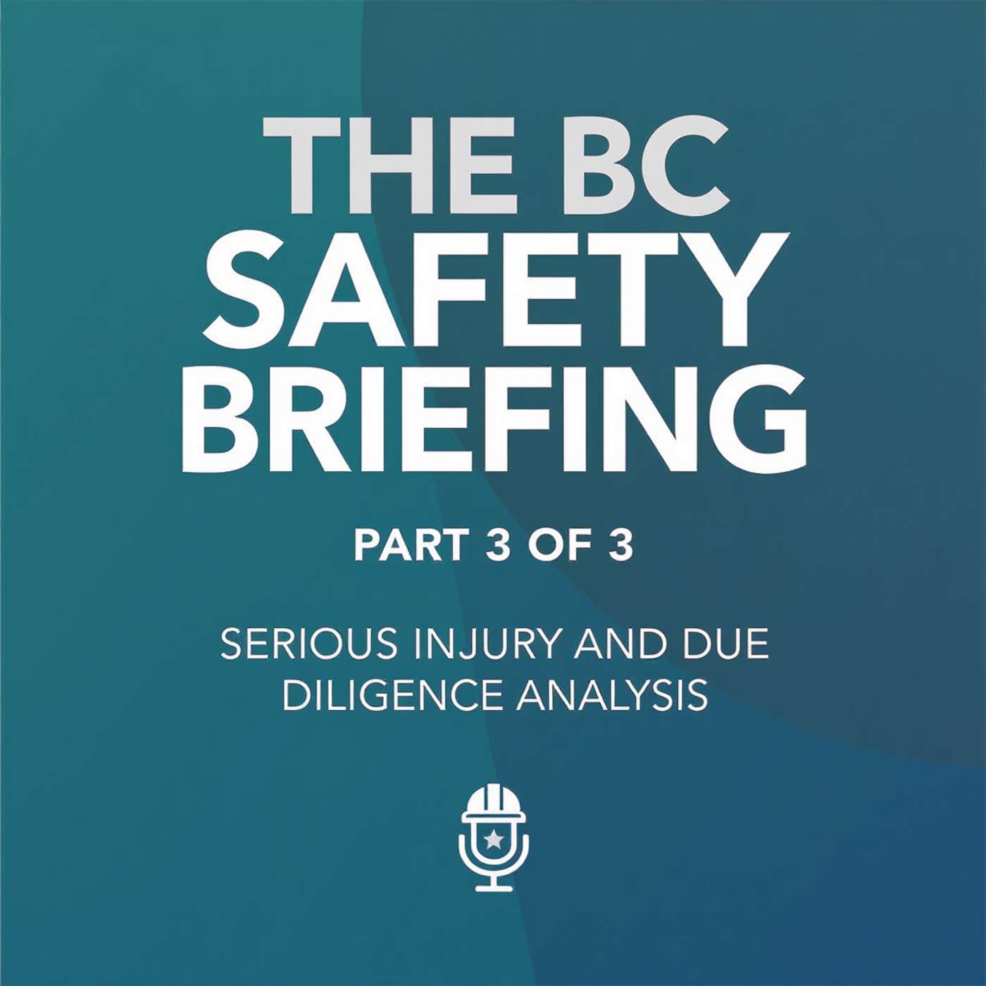 Part 3 of 3: Serious Injury and Due Diligence Analysis episode artwork