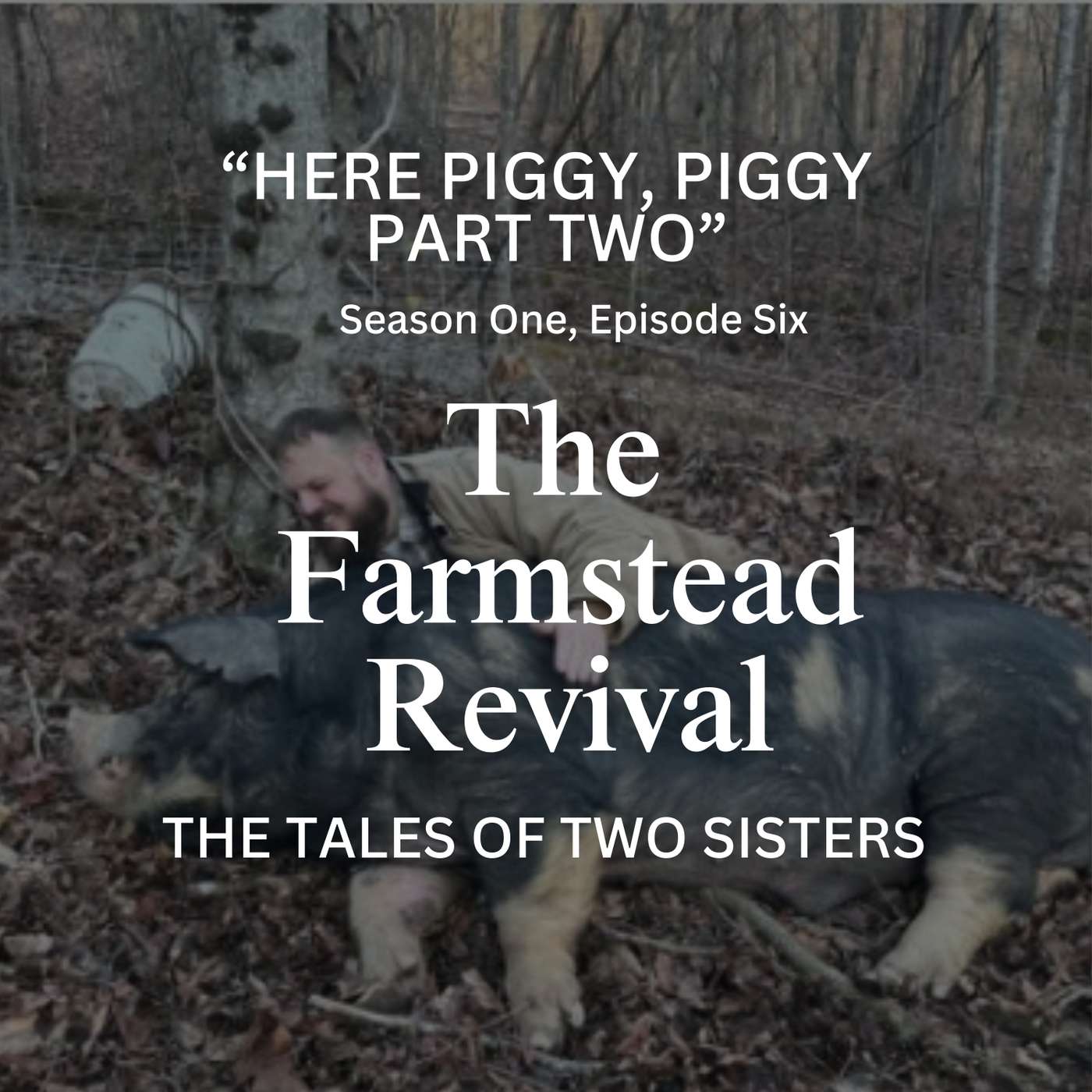 Episode #6 Here Piggy, Piggy Part 2 episode artwork