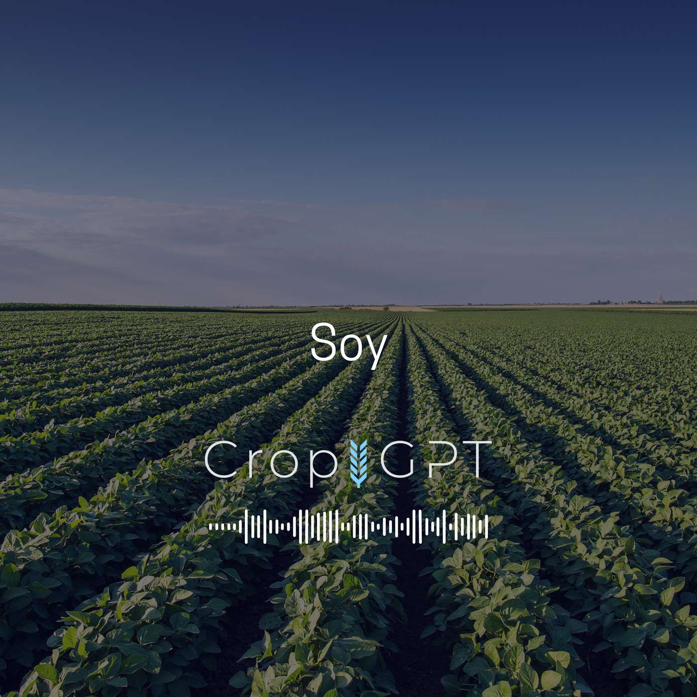 CropGPT - Podcast for Commodities