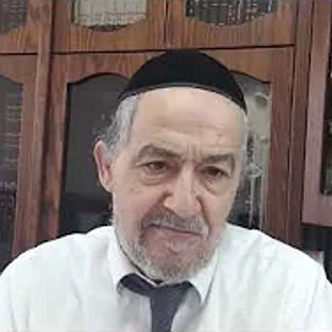 הגיגים לפרשת שלח לך תשפו בעברית