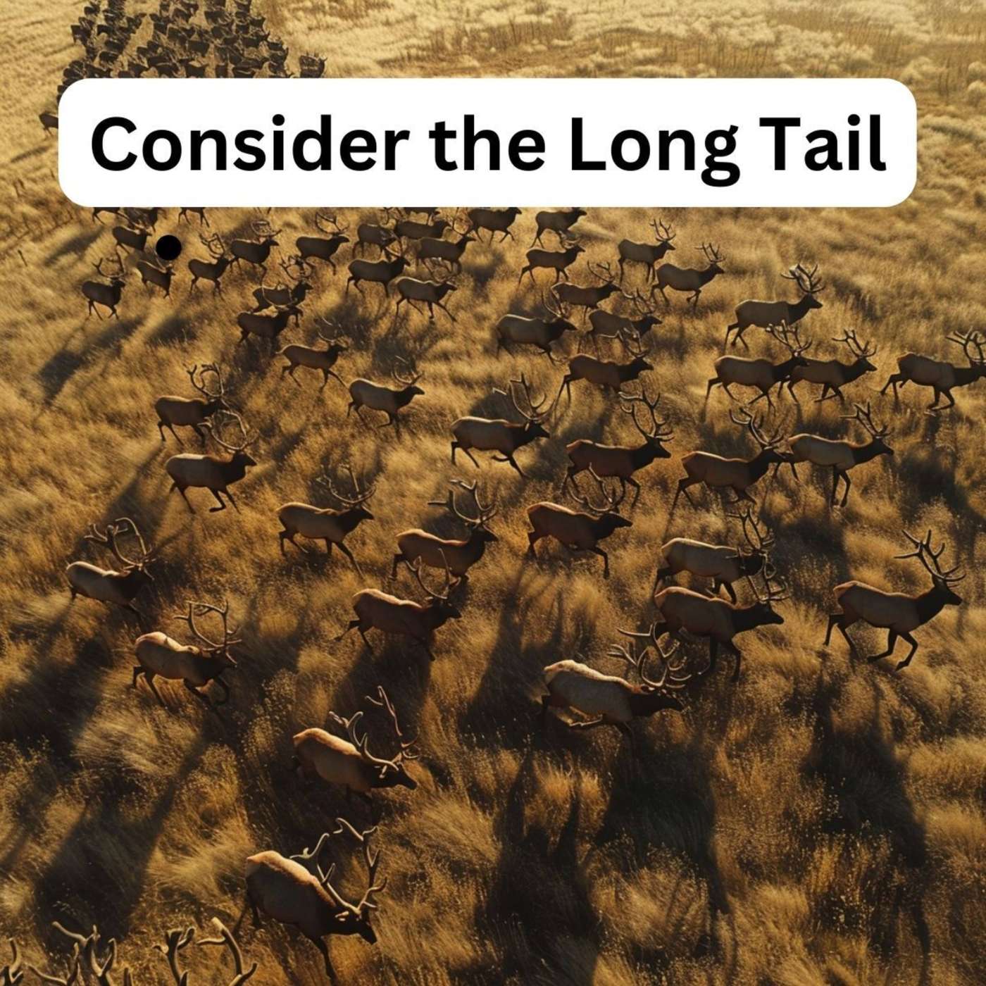 Day 222 - Consider the Long Tail episode artwork