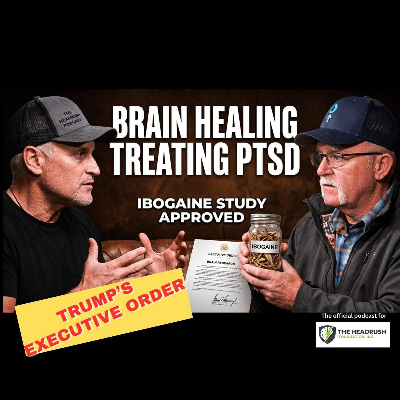 Trump’s Psychedelic Executive Order: Breakthrough for Brain Trauma or Dangerous Gamble? episode artwork